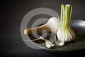 Young tender immature garlic