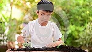 Young Thai boy planting little seedling on the black soil in the garden