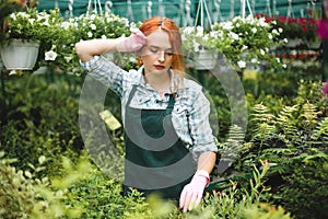Young tired florist in apron and pink gloves thoughtfully working with plants in greenhouse