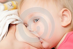 Young toddler girl breast feeding