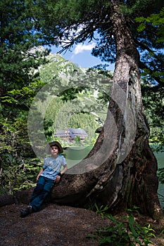 Young tourist posing by the giant Scotch pine tree on the shore Mountain lake Popradske Pleso, Slovakia