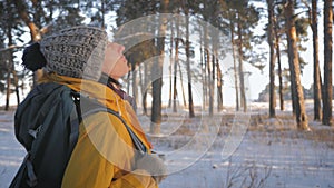 Young travel backpacker woman with backpack walking in snowy winter pine forest. The trail is surrounded by snow-covered