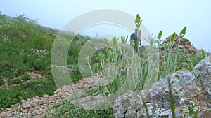 A young traveler walks along a mountain trail in cloudy foggy weather.