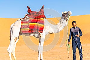Young Tuareg posing with his dromedary