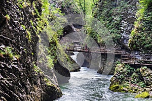 Young undefined girl walking on wooden bridge  at Vintgar Gorge canyon