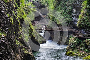 Young undefined girl walking on wooden bridge  at Vintgar Gorge canyon