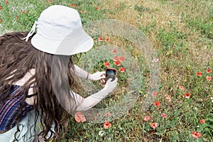 Young unknowable girl sitting in a field with poppies and making photo, active rural lifestyle in summer, sunny day, country farm