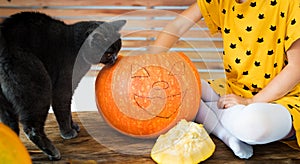 Young unrecognisable girl sitting on a table playing with halloween pumpkin and her pet cat. Halloween lifestyle.