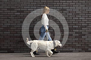 Young urban girl walks with a dog on the street against the background of the wall, a woman runs with a retriever puppy