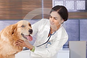 Young vet examining dog