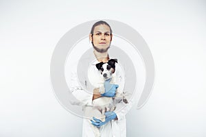 Young veterinarian doctor in blue gloves examine little cute dog jack russell isolated on white background, animal