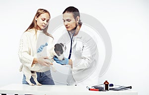 Young veterinarian doctor in blue gloves examine little cute dog jack russell isolated on white background with owner