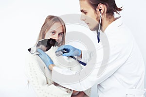 Young veterinarian doctor in blue gloves examine little cute dog jack russell isolated on white background with owner