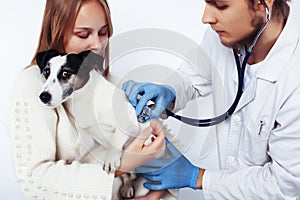 Young veterinarian doctor in blue gloves examine little cute dog jack russell  on white background with owner