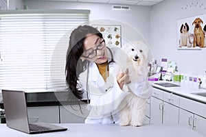 Young veterinarian examining cute dog