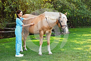 Young veterinarian examining palomino horse on sunny day