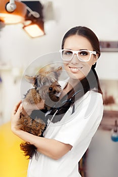 Young Veterinarian Female Doctor with Cute Dog