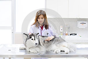 Young veterinarian at hospital photo