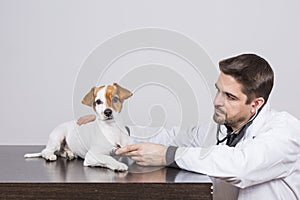 Young veterinarian man examining a cute small dog by using stethoscope, isolated on white background. Indoors