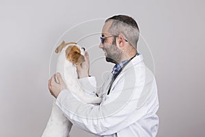 Young veterinarian man examining a cute small dog by using stethoscope, isolated on white background. Indoors