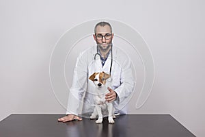 Young veterinarian man examining a cute small dog by using stethoscope, isolated on white background. Indoors