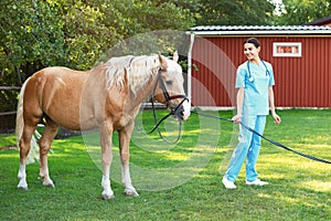 Young veterinarian with palomino horse outdoors