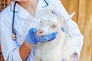 Young veterinarian woman with stethoscope holding and examining goat kid on ranch background. Young goatling with vet hands for