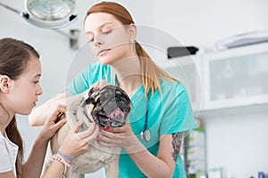 Young veterinary doctor and girl stroking pug on table at hospital