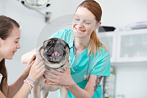 Young veterinary doctor and girl stroking pug on table at hospital