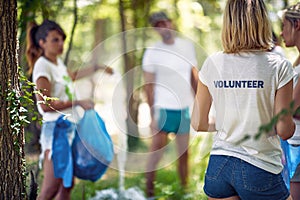 Young volunteers in forest or park, picking up trash. Group of men and women in nature doing charity work. Environmentalism, green