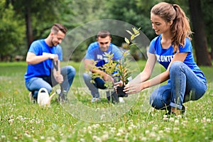 Young volunteers planting trees in park. Charity work