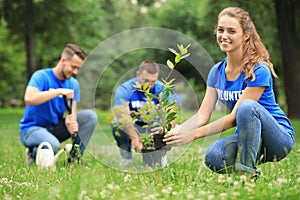 Young volunteers planting trees in park. Charity work