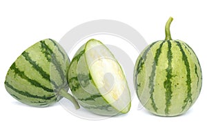 Young watermelon fruit