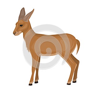 A young, wild antelope. A wild-footed animal of an antelope single icon in cartoon style vector symbol stock