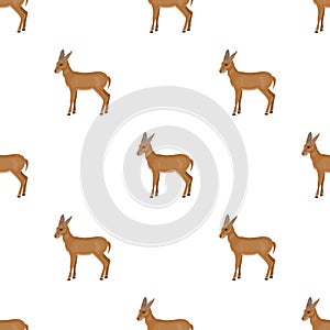 A young, wild antelope. A wild-footed animal of an antelope single icon in cartoon style vector symbol stock