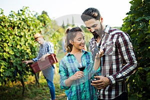 Young wine growers tasting wine in vineyard