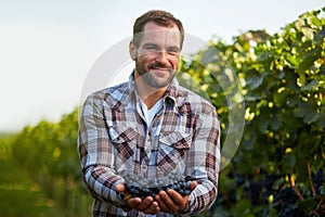 Young winemaker in vineyard photo