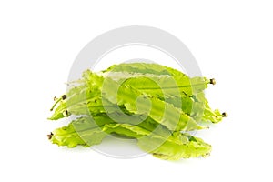 Young Winged Beans on white background