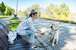 Young woman adopt young dog Labrador Retriever from animal rescue center and gave him love and friendship. Female animal lover spe