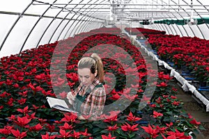 Young woman agronomist recording the growth of poinsettia in a paper notebook in a plant nursery