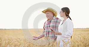 Young woman agronomist with tablet in hand and farmer in hat walking in yellow wheat field at sunset