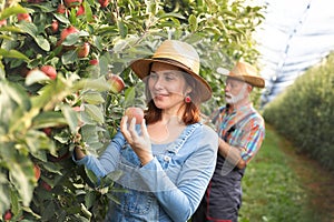 Young woman in apple orchard