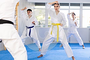 Young woman attendee of karate classes practicing kata standing in row with others