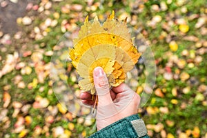 Young woman in autumn park with faded leaves in hand. Autumn mood. Selective focus