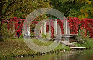 Young woman with baby carriage with little child in autumn park, colorful tree leaves and lake, happy family