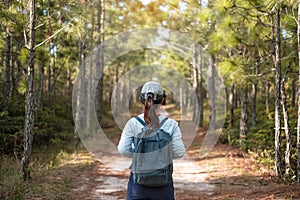 Young woman with backpack and cap hiking in mountains during summer season, solo traveler walking in the forest. Travel, adventure