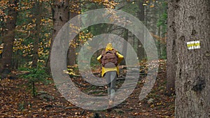 Young woman with backpack and her little dog trek up marked forest trail offering a scenic view of the trees changing