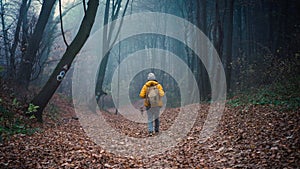 A young woman with a backpack walks through the autumn misty forest with her dog