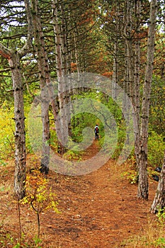 Young woman with bagpack walking in autumn wood