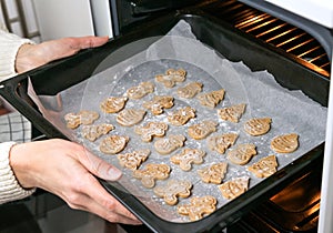 A young woman bakes Christmas cookies at home. Close-up. Selective focus